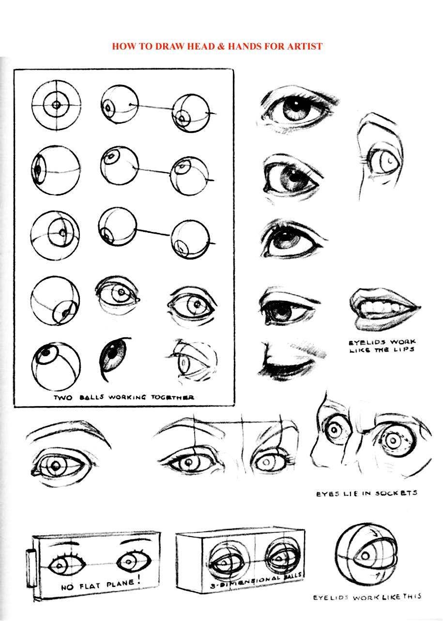 How to Draw Head Hands for Artist - photo 46