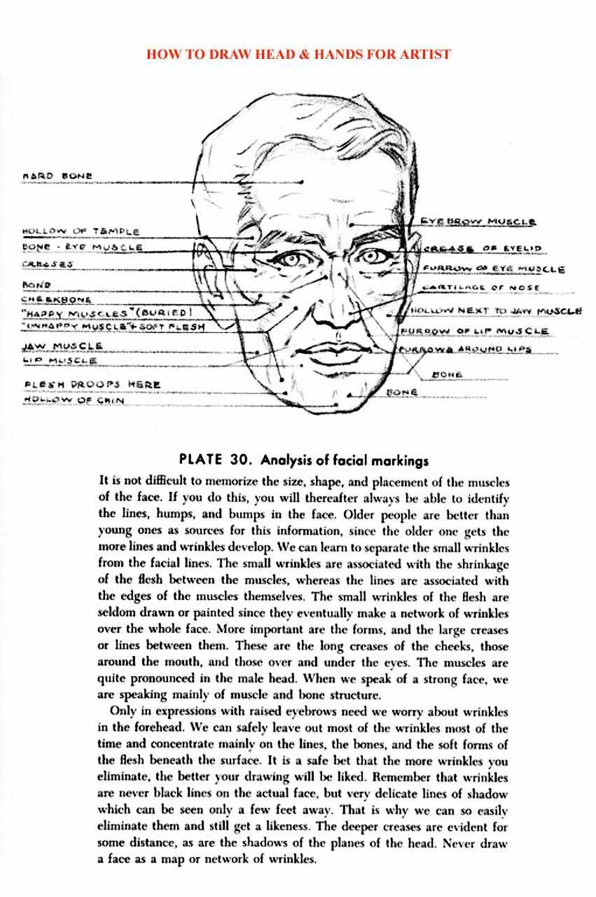 How to Draw Head Hands for Artist - photo 52