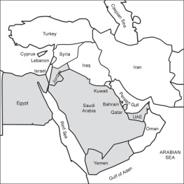 Tom Cooper Hot Skies Over Yemen, Volume 2: Aerial Warfare Over Southern Arabian Peninsula, 1994-2017