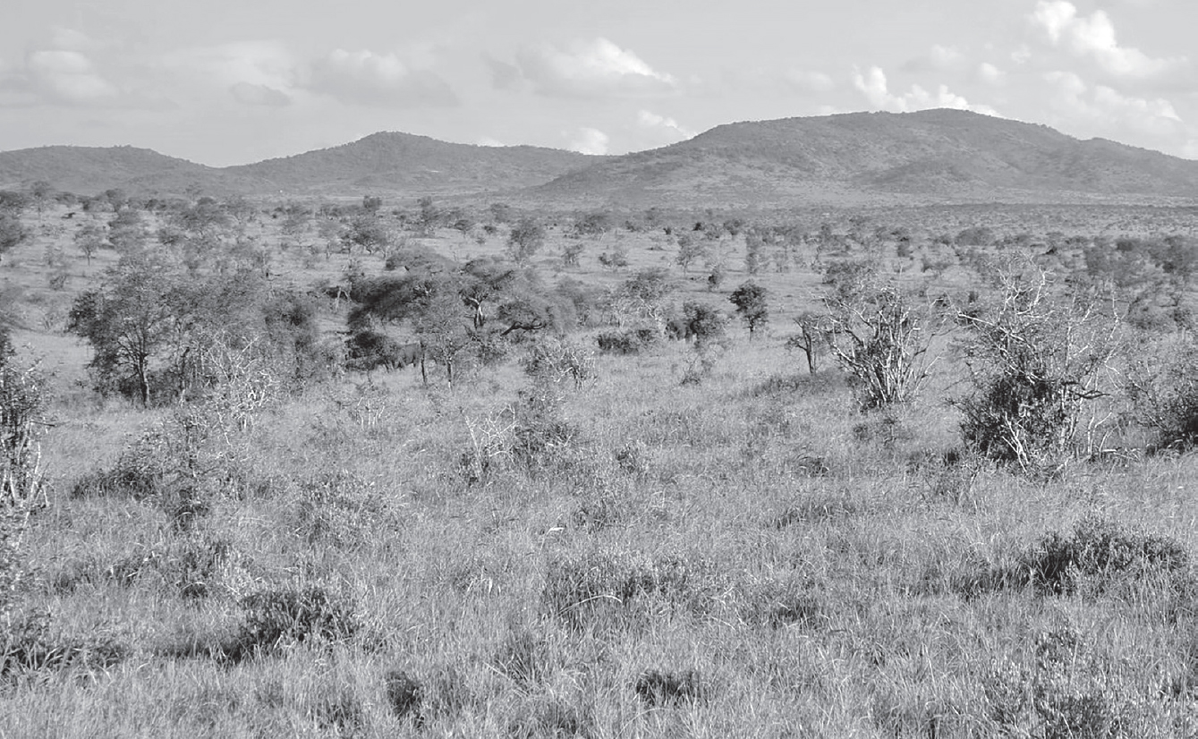 Savannah landscape in Taita Hills Wildlife Sanctuary Kenya CT Cooper - photo 3