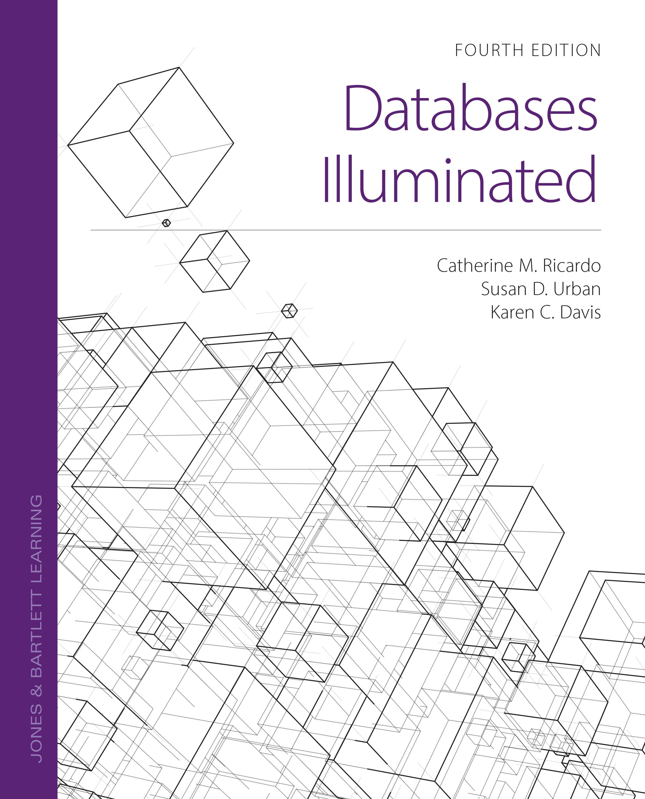 Databases Illuminated - image 1