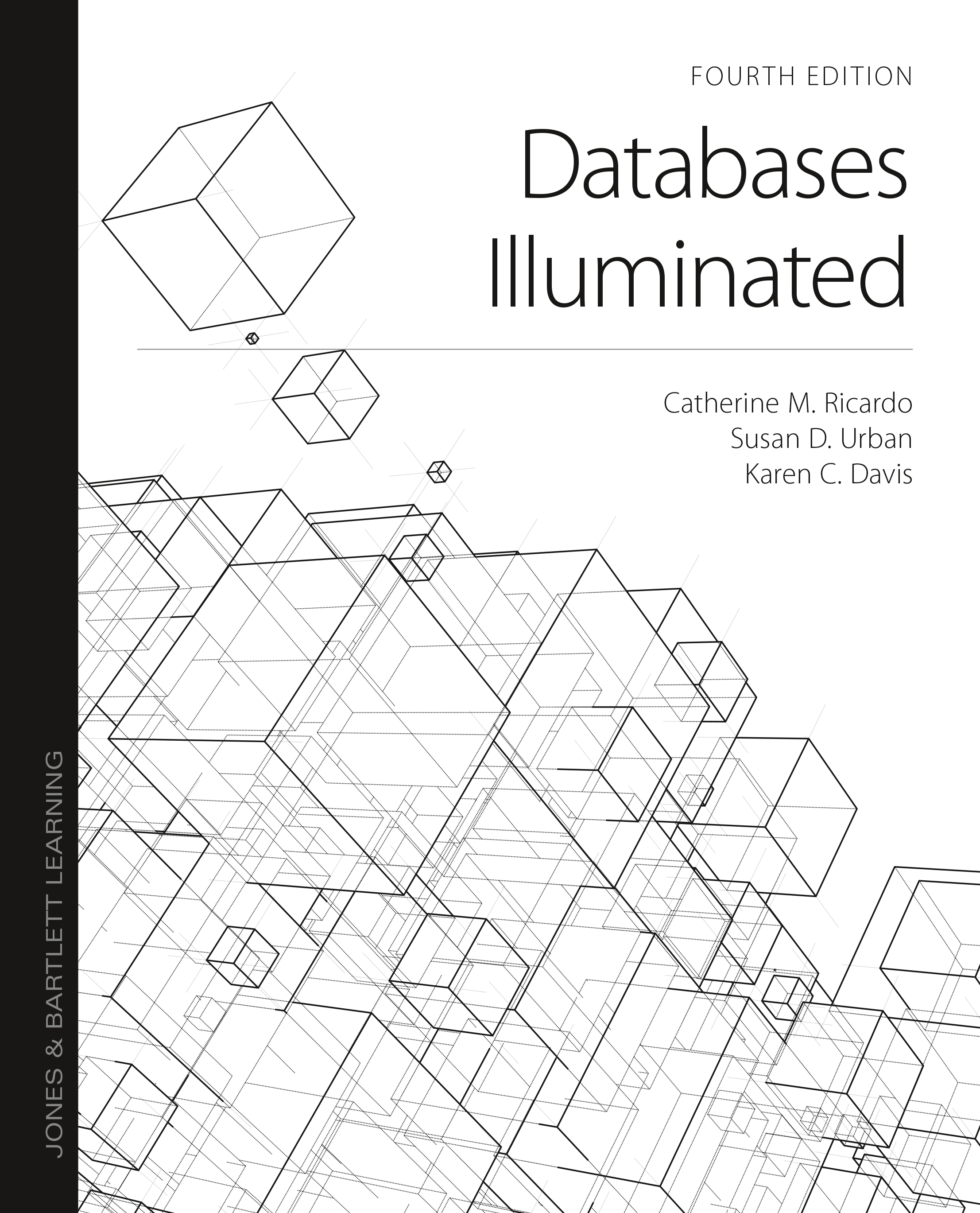 Databases Illuminated - image 2