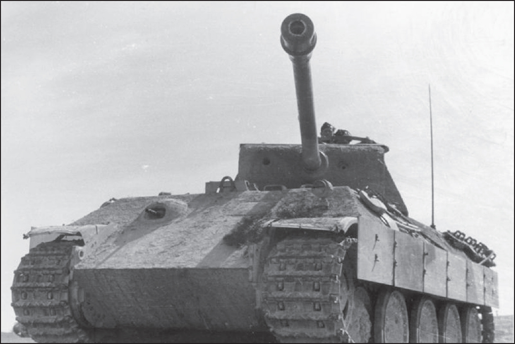 The Panzer Mark V - The Panther Among the many excesses which the Nazi regime - photo 1