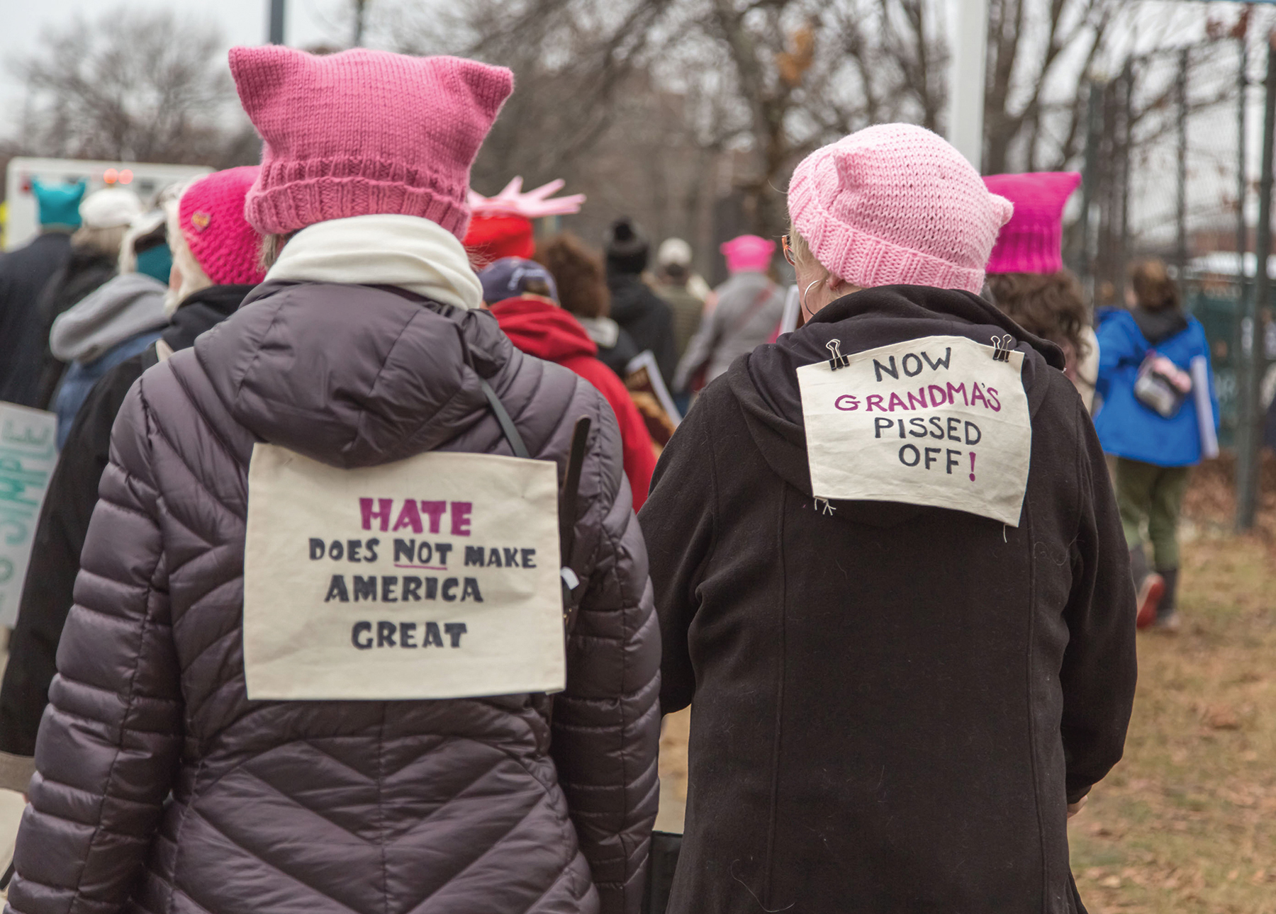 Participants in their pink pussy hats at the Womens March in Washington DC - photo 18