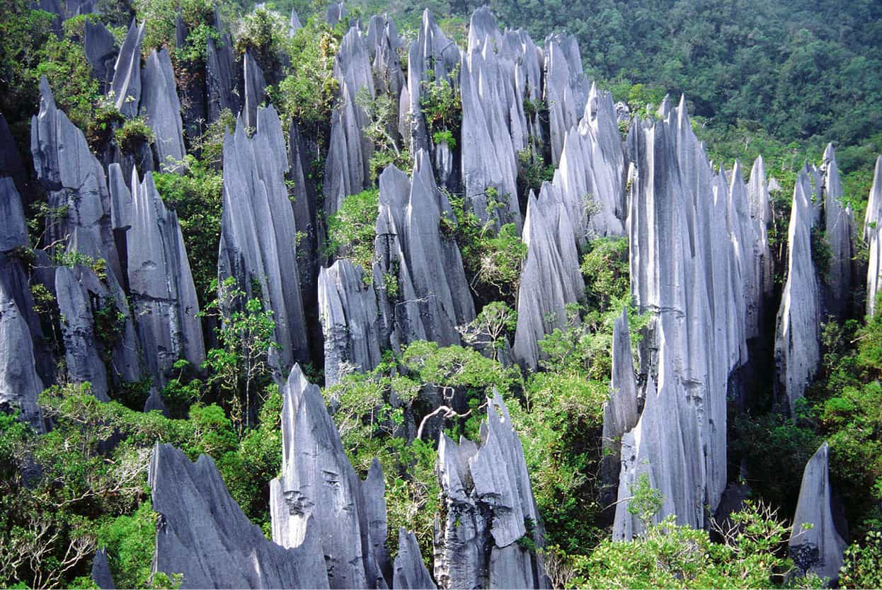 Top Attraction 10 Tourism Malaysia Gunung Apis Pinnacles A mesmerising sight - photo 13