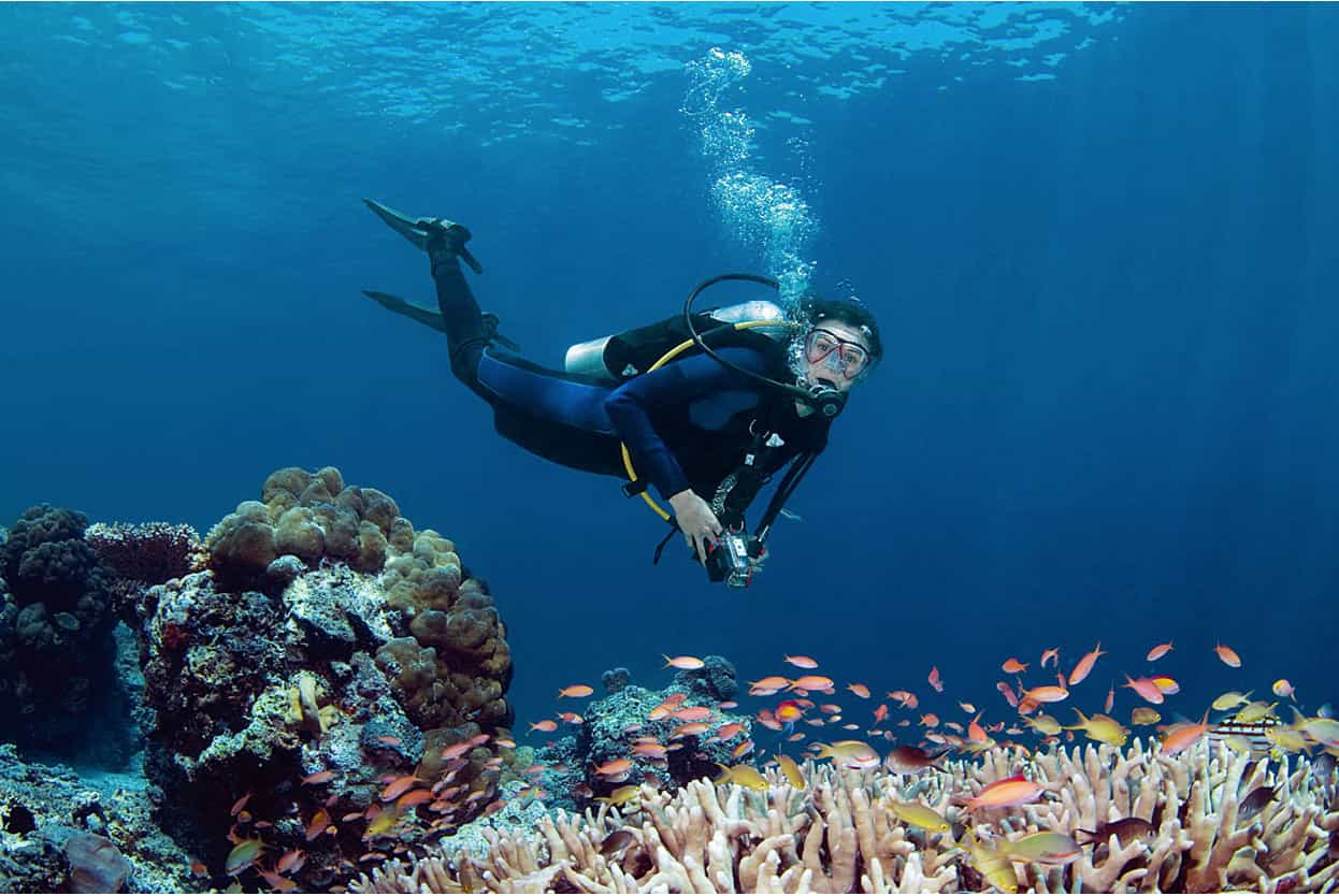 Top Attraction 4 iStock Pulau Sipadan One of the worlds top dive sites For - photo 7