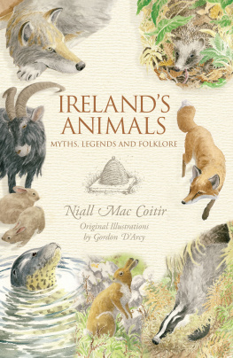 Niall Mac Coitir - Ireland’s Animals