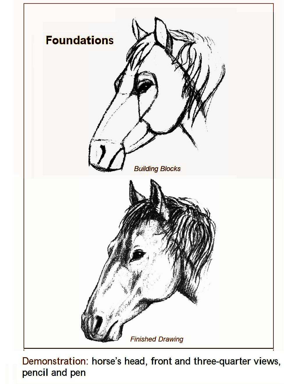 How to Draw Horses Step-By-Step for Student Part 1 - photo 8