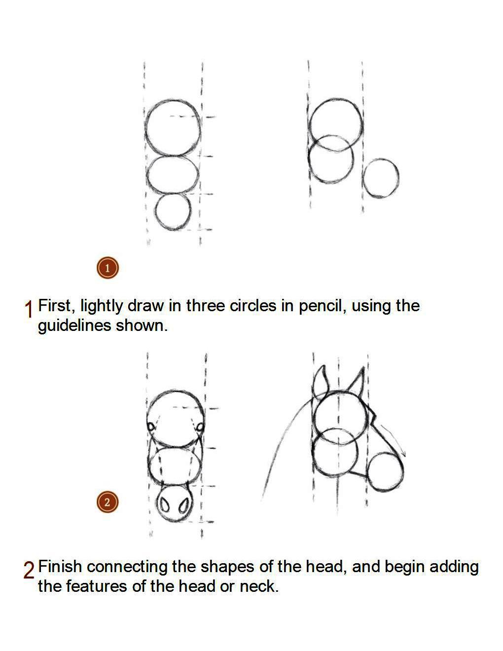 How to Draw Horses Step-By-Step for Student Part 1 - photo 9