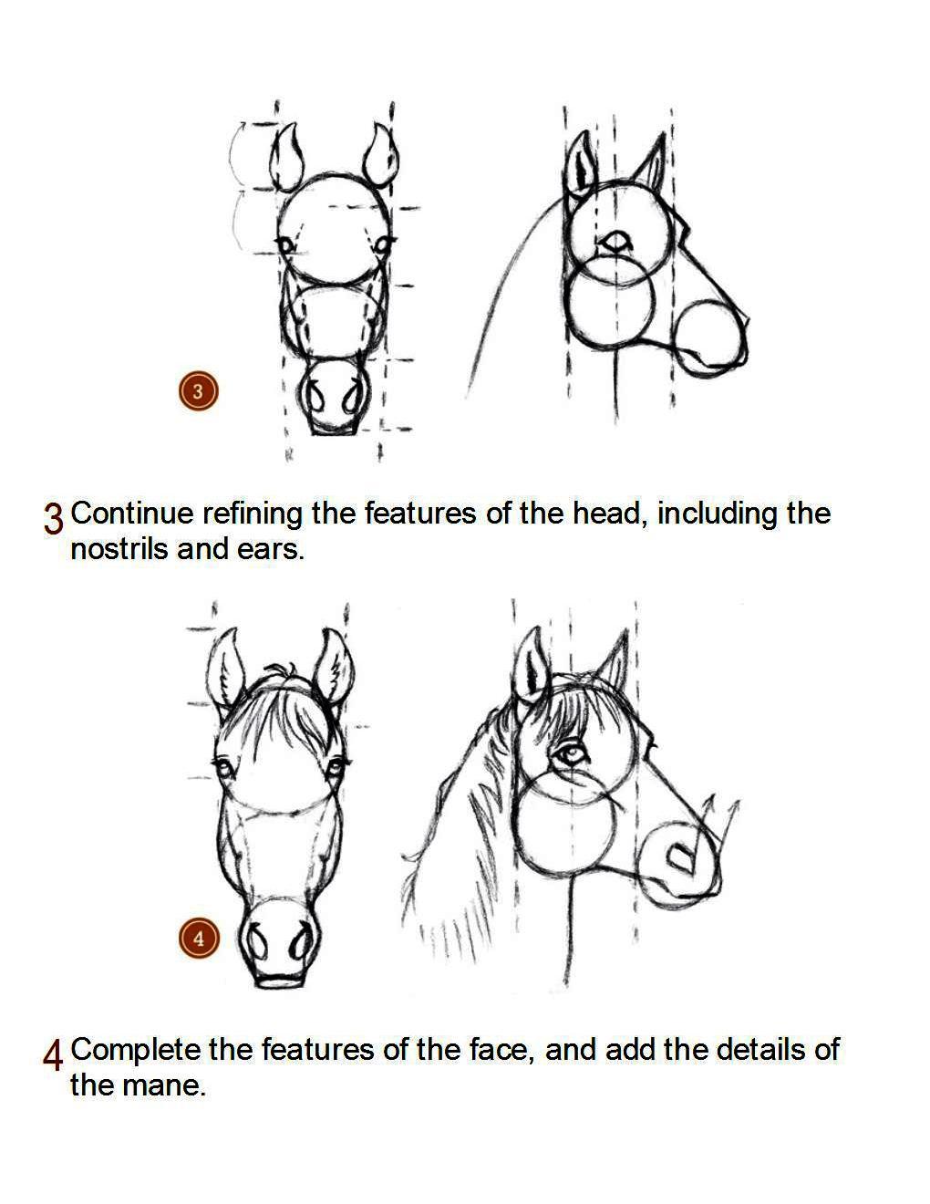 How to Draw Horses Step-By-Step for Student Part 1 - photo 10