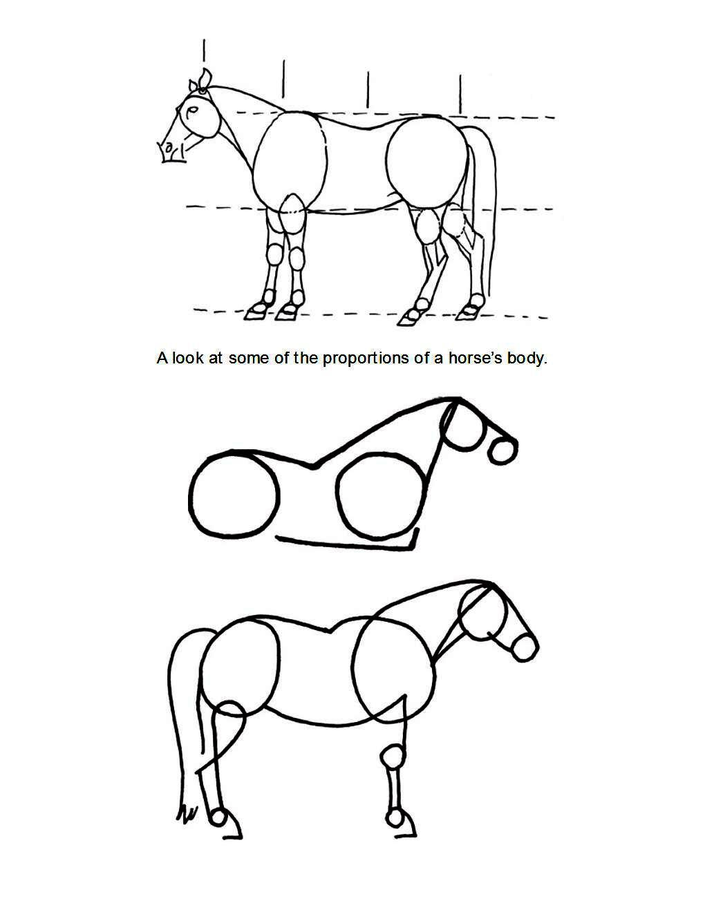 How to Draw Horses Step-By-Step for Student Part 1 - photo 20