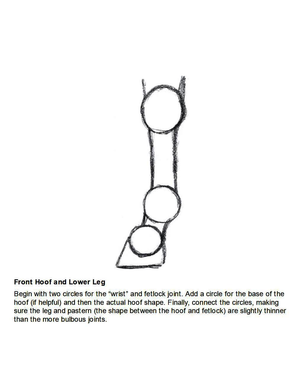 How to Draw Horses Step-By-Step for Student Part 1 - photo 28