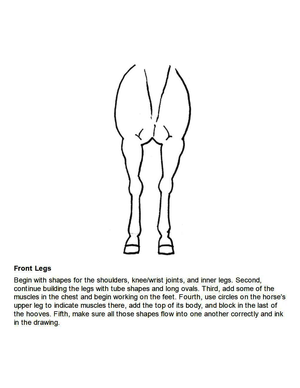 How to Draw Horses Step-By-Step for Student Part 1 - photo 36