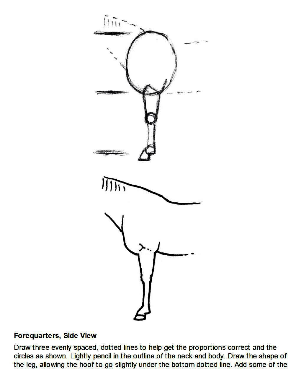 How to Draw Horses Step-By-Step for Student Part 1 - photo 38