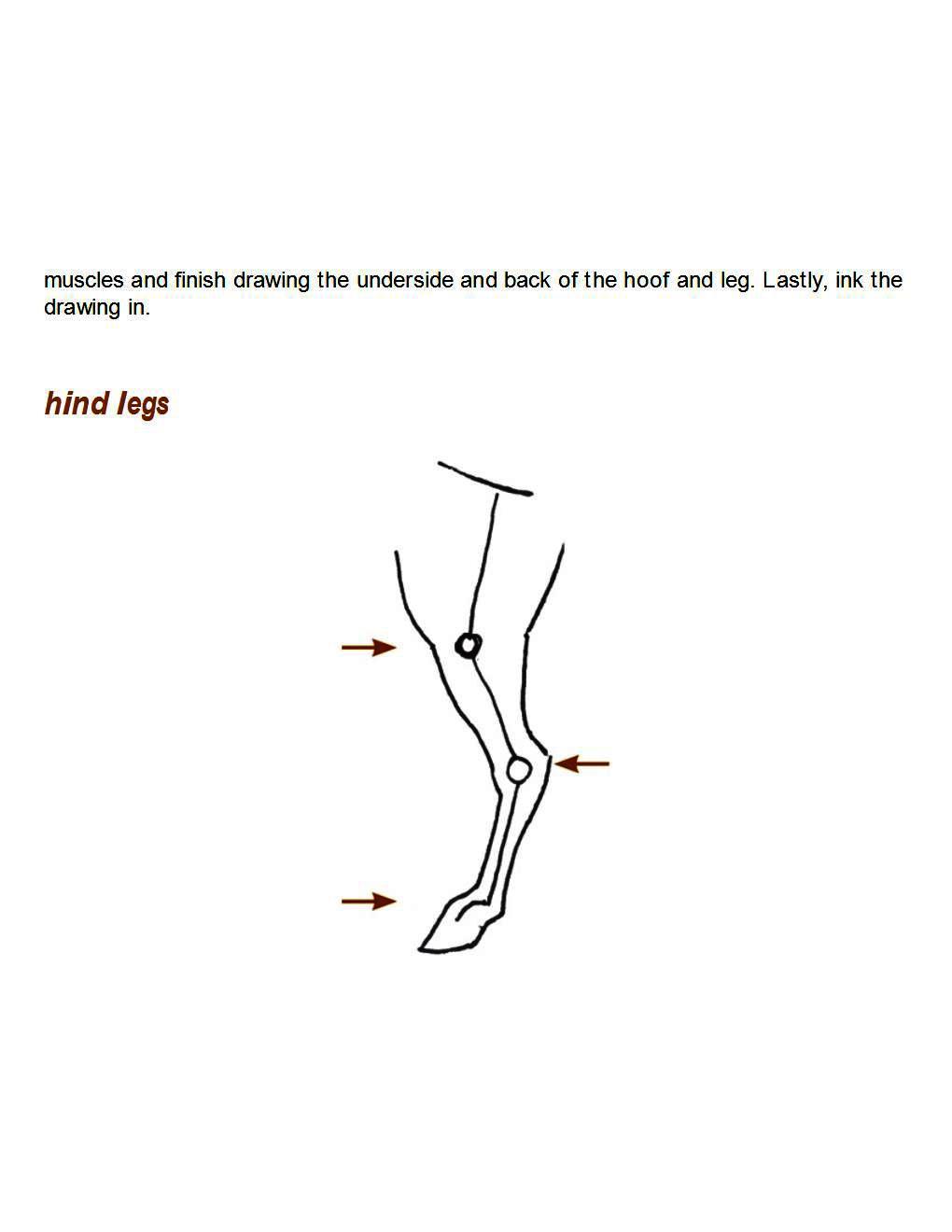 How to Draw Horses Step-By-Step for Student Part 1 - photo 39