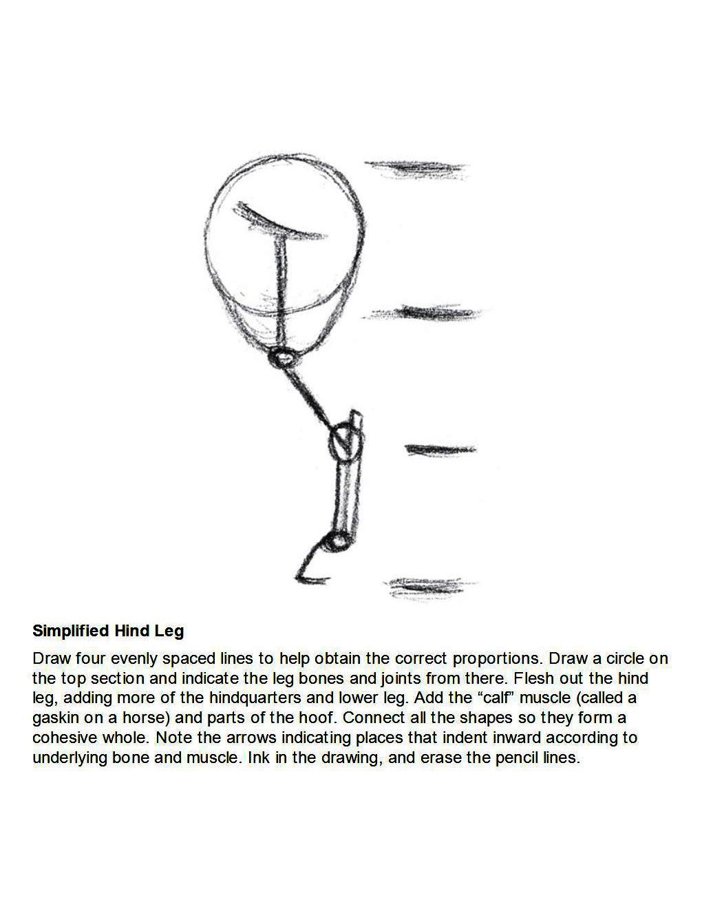 How to Draw Horses Step-By-Step for Student Part 1 - photo 43