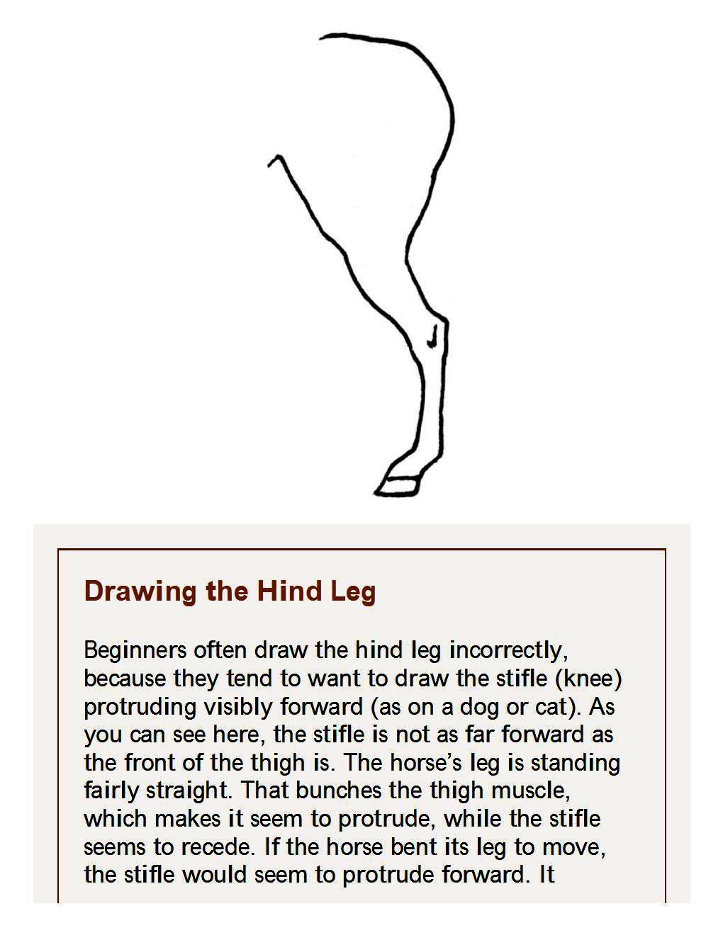 How to Draw Horses Step-By-Step for Student Part 1 - photo 46