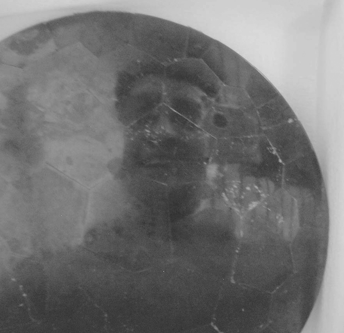 Figure 11 Reflection from the Bonampak pyrite mirror photo by Emiliano - photo 4