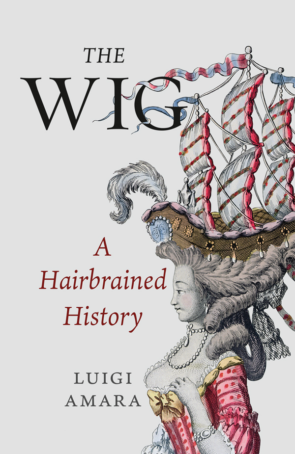 THE WIG THE WIG A Hairbrained History LUIGI AMARA Translated by - photo 1