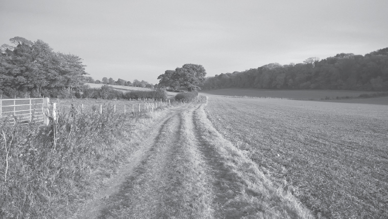 Heading west to Washington north of the Downs Sussex when all was said - photo 2