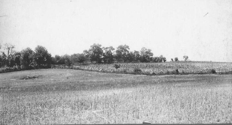 A c 1890 view of the northern fence and end of the Cornfield along with the - photo 6