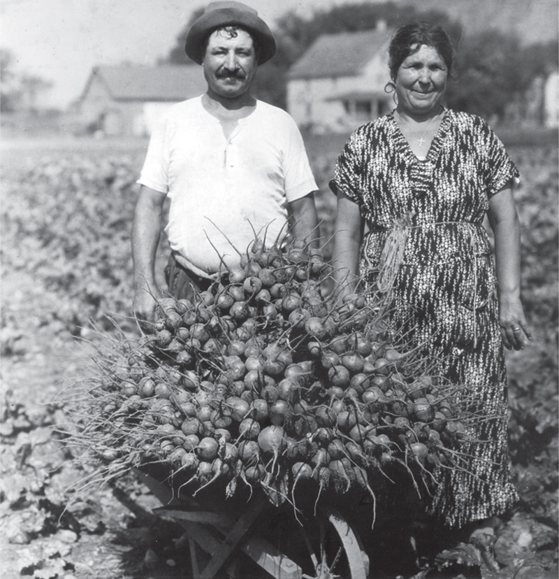 Pasquale and Anna Perrotti on the Perrotti farm Woodbridge Connecticut - photo 2