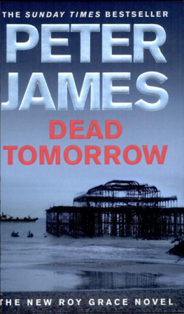 Peter James - Dead Tomorrow