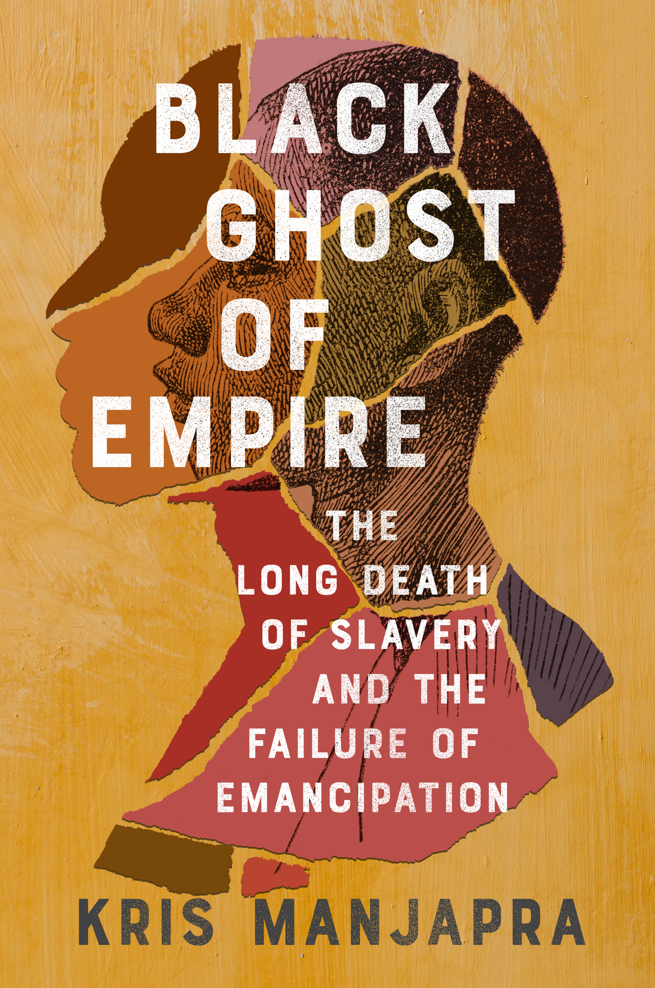 Black Ghost of Empire The Long Death of Slavery and the Failure of Emancipation - photo 1