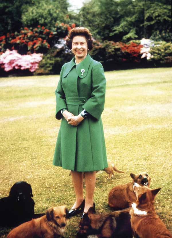 Queen Elizabeth ll at Sandringham with her corgies 1960s INTRODUCTION T he - photo 9