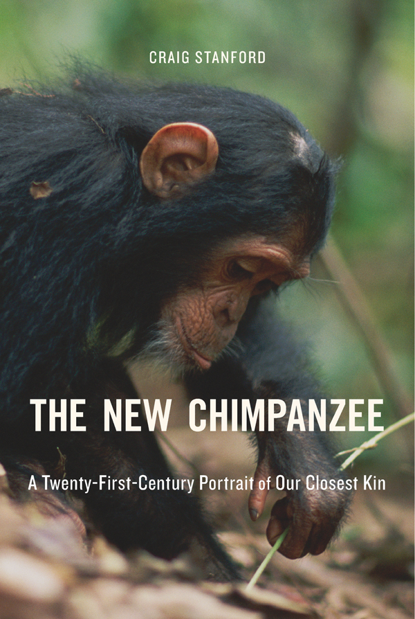 CRAIG STANFORD The New Chimpanzee A Twenty-First-Century Portrait of Our - photo 1