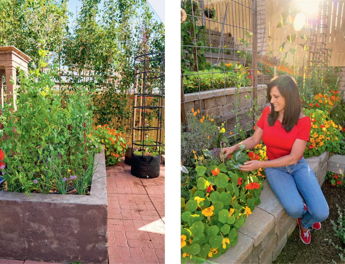 Benefit 1 RAISED BEDS FIT ANY SPACE Whether you have a huge backyard or - photo 8