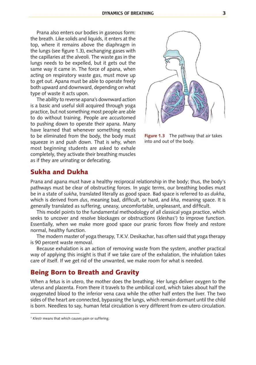 Yoga Anatomy Your Detailed Overview To Postures Activities As Well As Breathing Strategies - photo 12