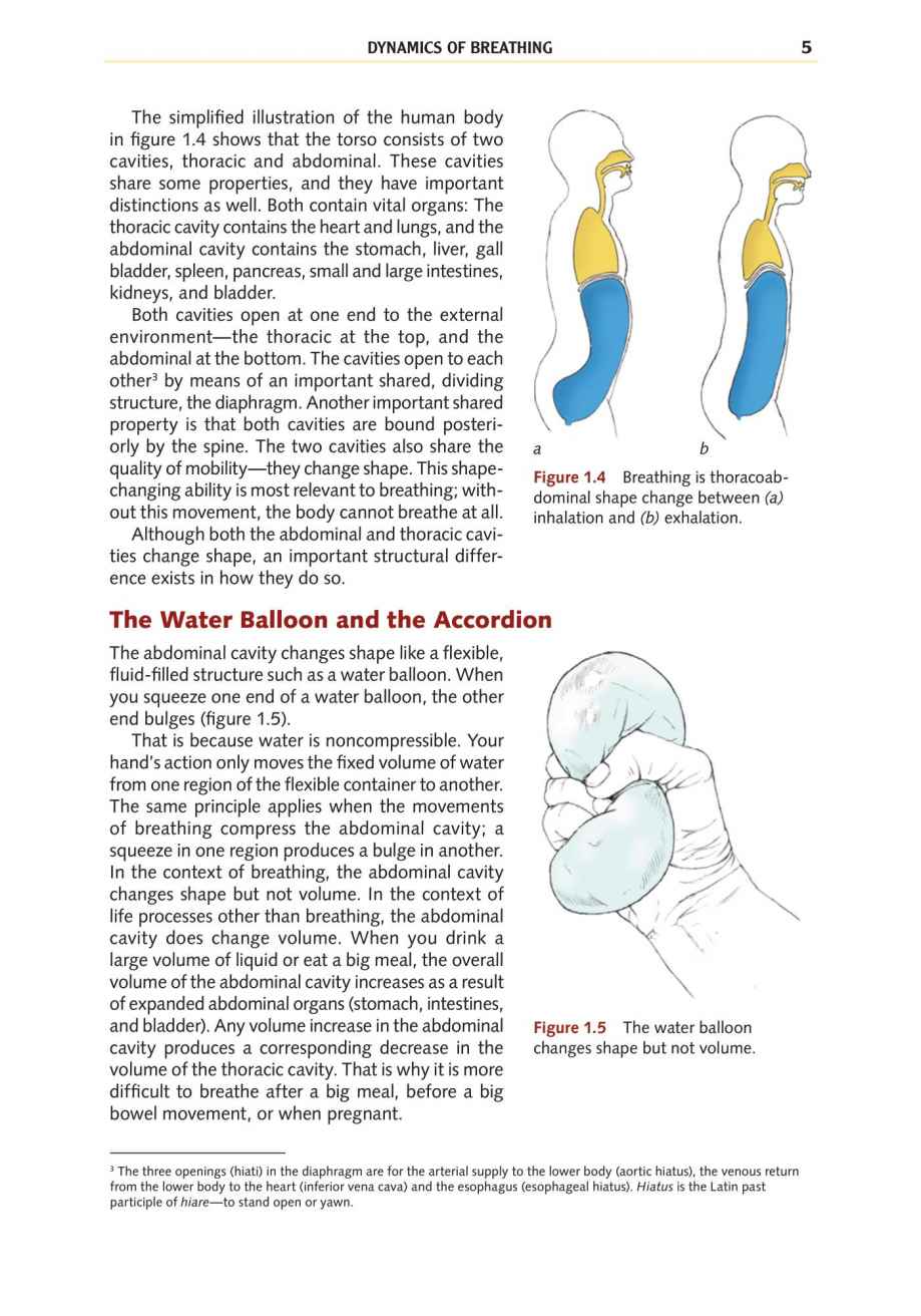 Yoga Anatomy Your Detailed Overview To Postures Activities As Well As Breathing Strategies - photo 14