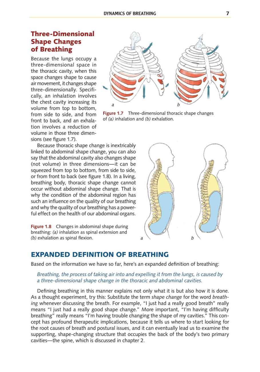 Yoga Anatomy Your Detailed Overview To Postures Activities As Well As Breathing Strategies - photo 16