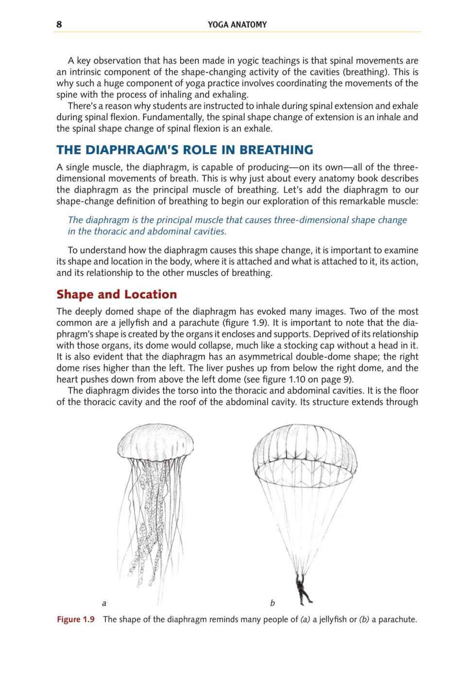 Yoga Anatomy Your Detailed Overview To Postures Activities As Well As Breathing Strategies - photo 17