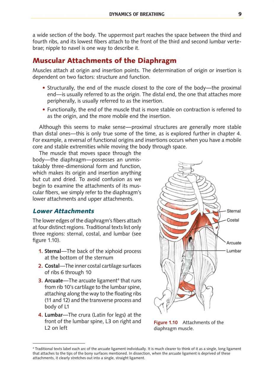 Yoga Anatomy Your Detailed Overview To Postures Activities As Well As Breathing Strategies - photo 18