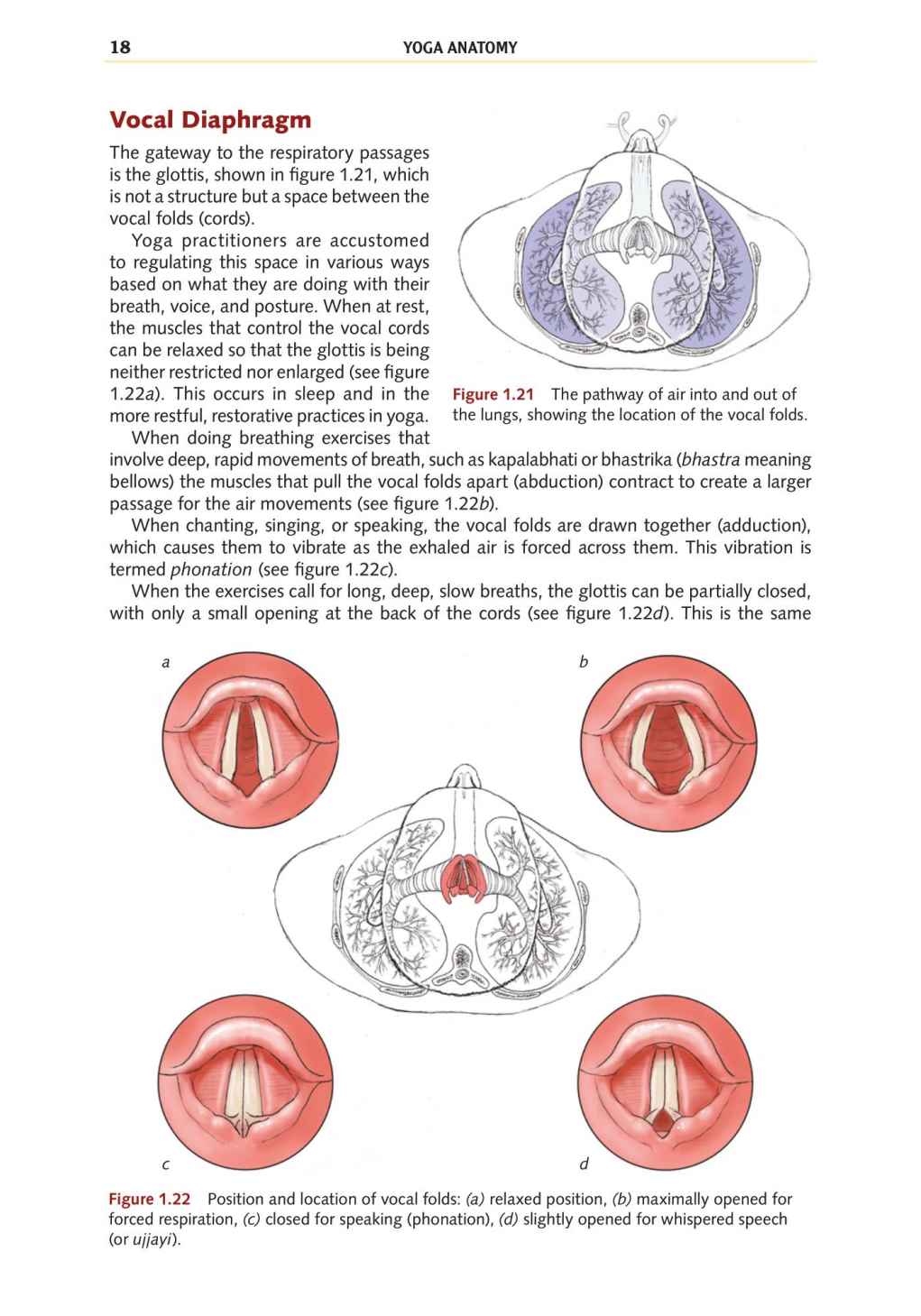 Yoga Anatomy Your Detailed Overview To Postures Activities As Well As Breathing Strategies - photo 27