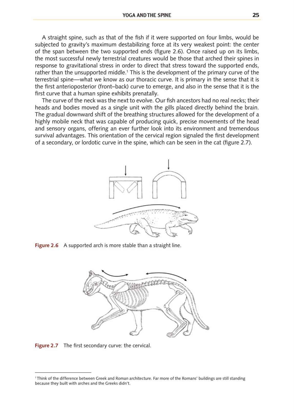 Yoga Anatomy Your Detailed Overview To Postures Activities As Well As Breathing Strategies - photo 33