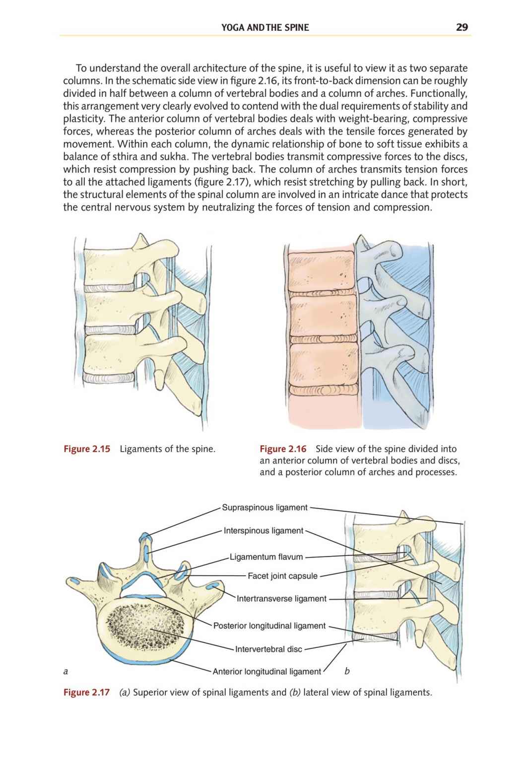 Yoga Anatomy Your Detailed Overview To Postures Activities As Well As Breathing Strategies - photo 37