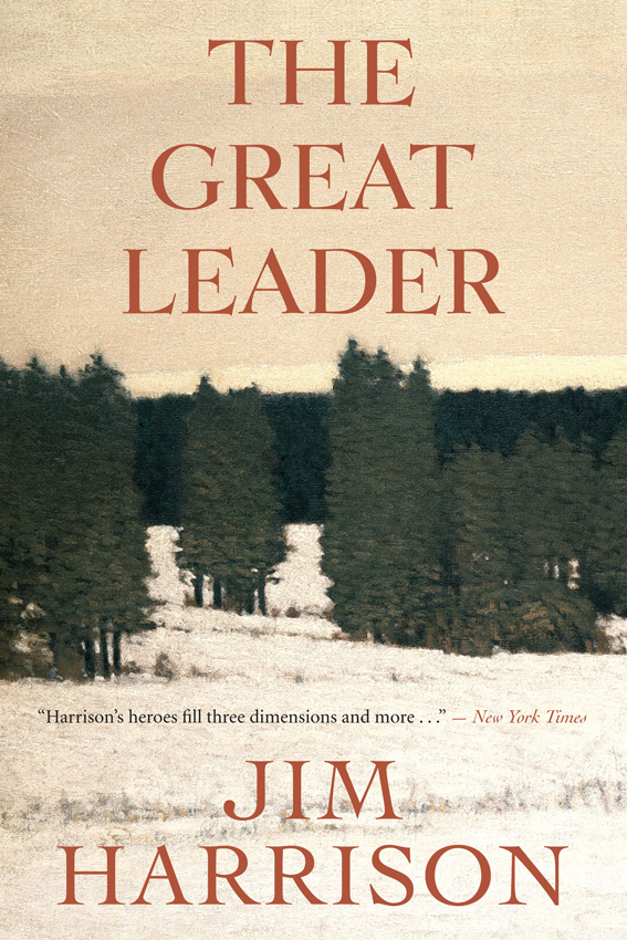The Great Leader - image 1