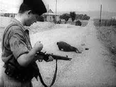 The same French soldier on the book cover has just shot the Algerian SE - photo 1