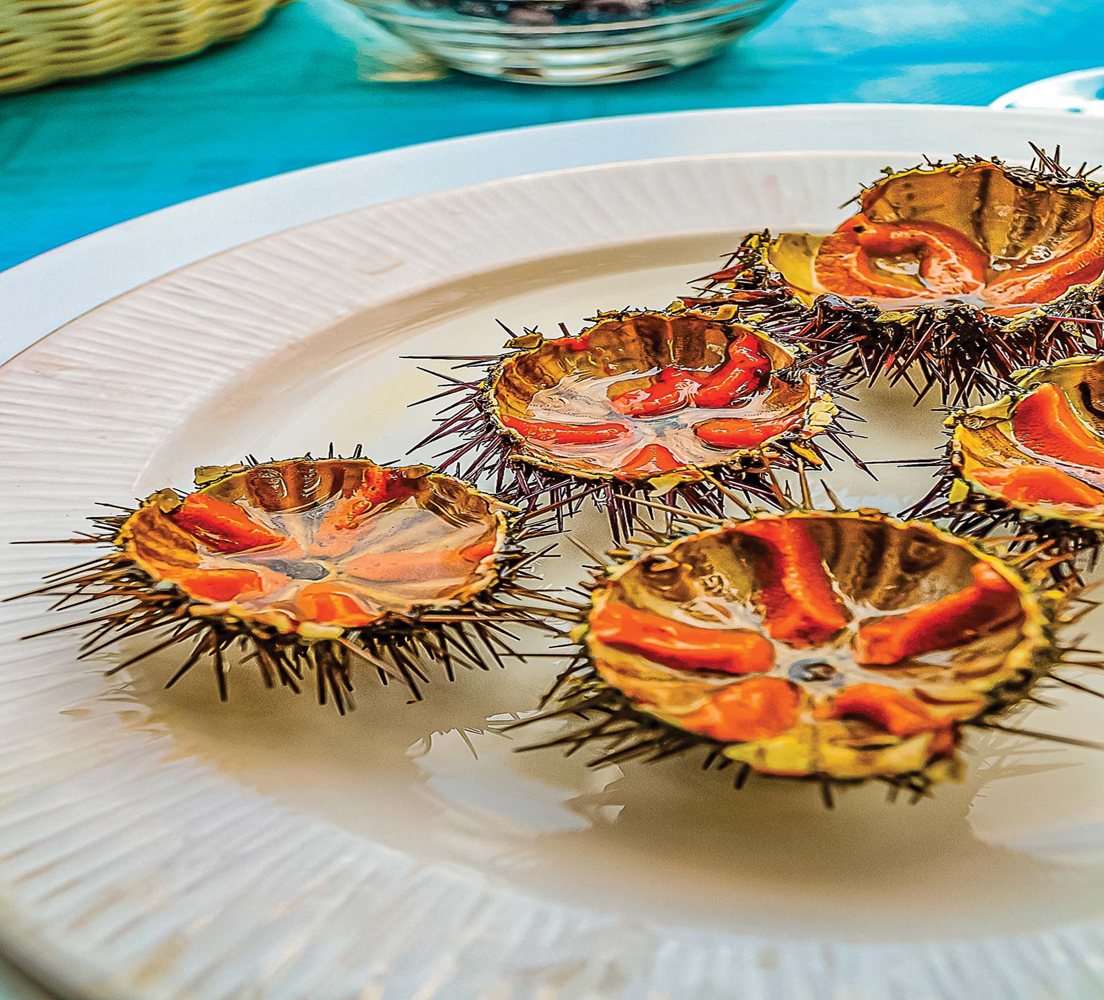 fresh sea urchin in Puglia beach on the Aeolian island of Lipari - photo 8