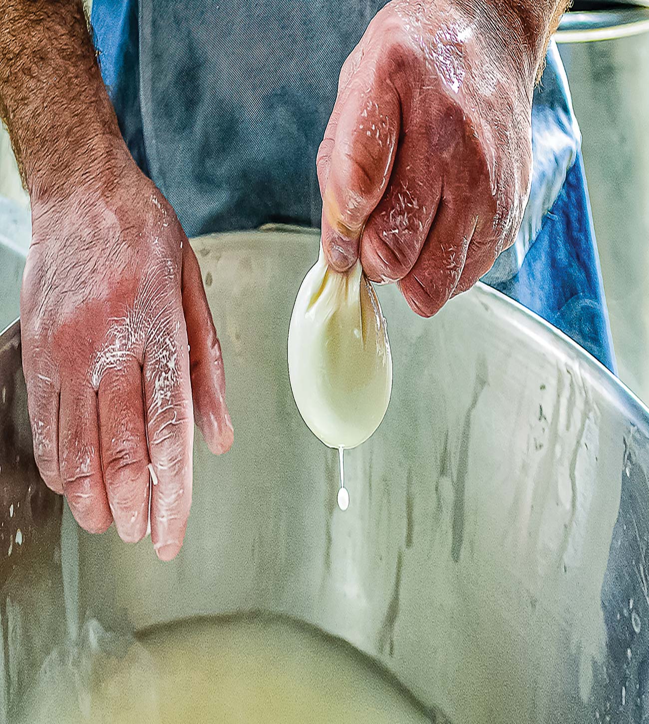 cheesemaking in Puglia Sorrentos Marina Grande - photo 12