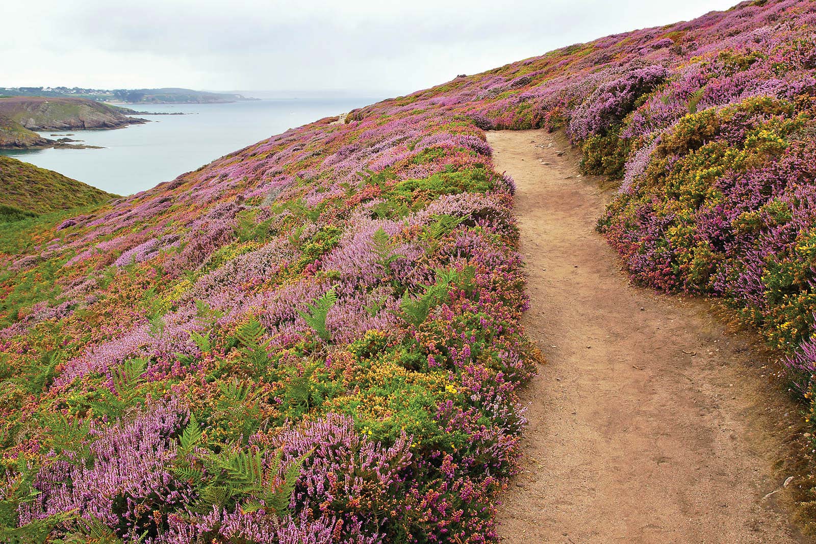 panoramic view over Cap Frhel Brittany a caf near the glise Saint-Maclou in - photo 11