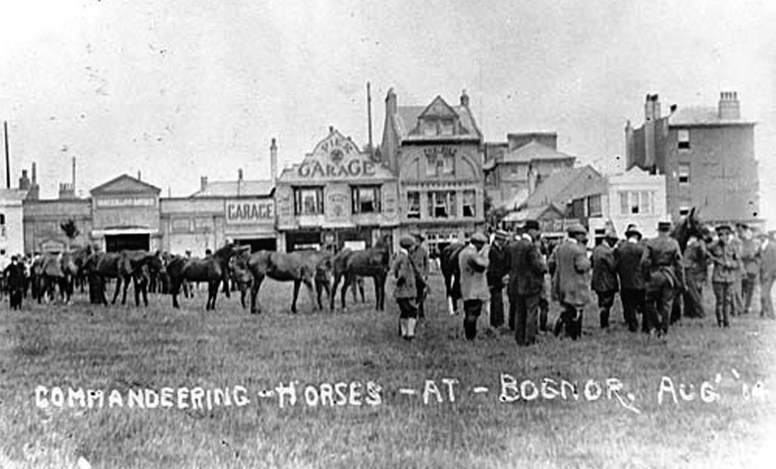 Horses being requisitioned in Waterloo Square 2 August 1914 Sylvia Olliver - photo 6