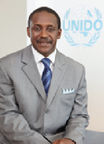 Kandeh K Yumkella Director-General UNIDO Chair UN-Energy Acknowledgements - photo 3