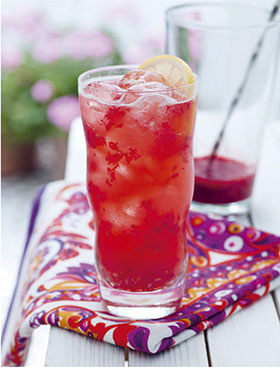 Summer Fizz Over 100 recipes for refreshing sparkling drinks - photo 6