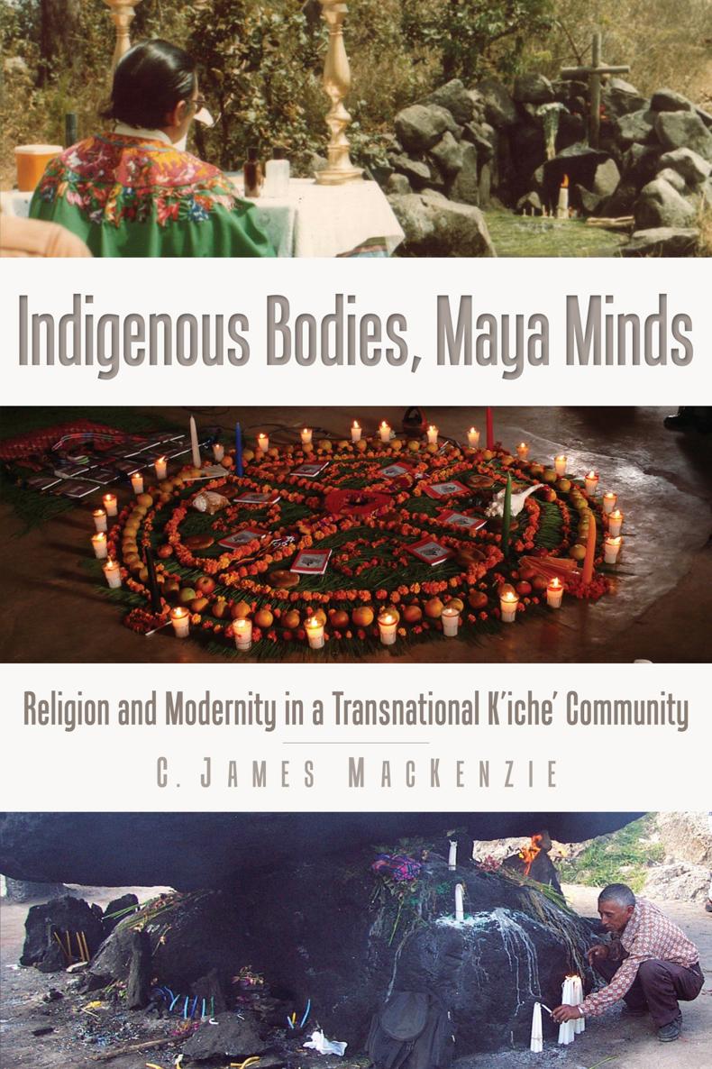 Indigenous Bodies Maya Minds IMS Studies on Culture and Society Series - photo 1