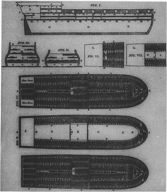 P LATE 1 Schematic plan of a slave ship The slave narratives bear eloquent - photo 4