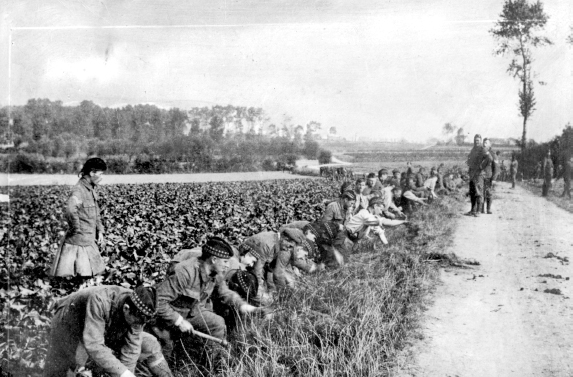 A party of us went digging trenches today 2nd Royal Scots Fusiliers digging - photo 13